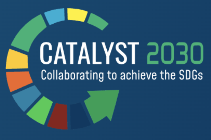 catalyst 2030